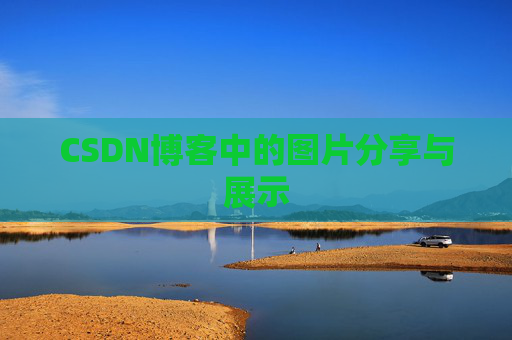 CSDN博客中的图片分享与展示